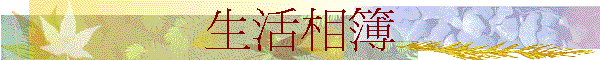 ͬï